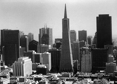 S.F.jpg