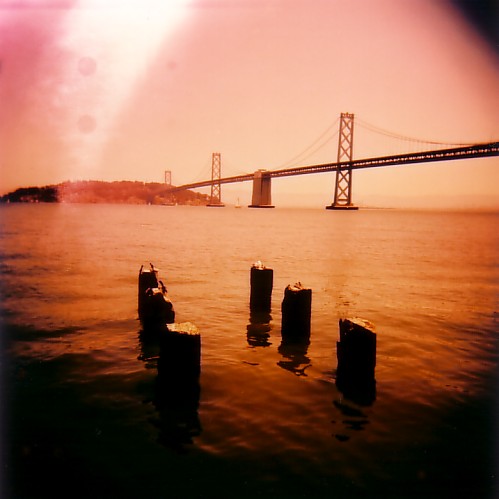 SF03.jpg