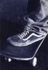 Vans2.jpg