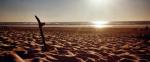 skate-plage.jpg