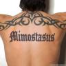 tatoo-mimostasus.jpg