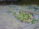 Skatepark-Troyes2.JPG