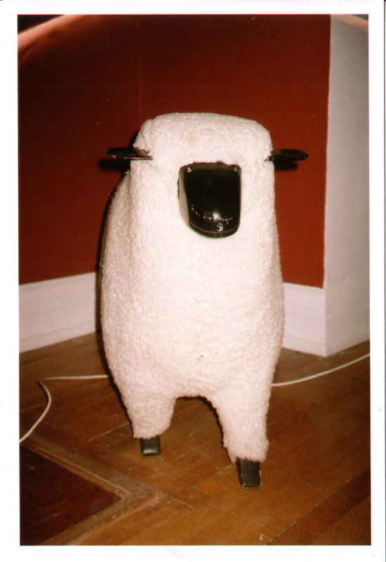 mouton.jpg