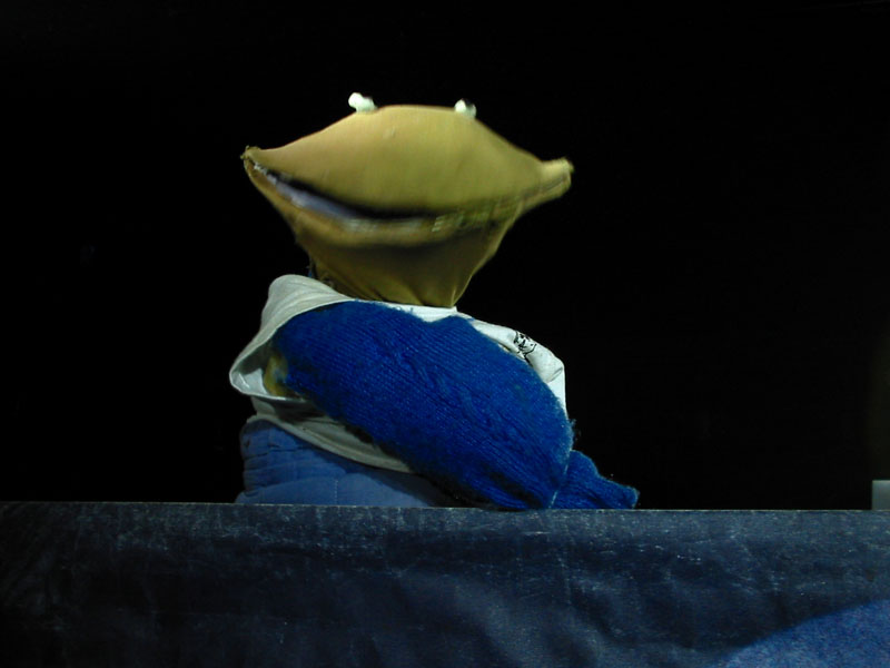 Puppetmastaz_18.JPG