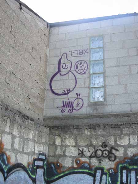 wolli.jpg
